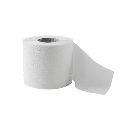 Everix - Premium Toilet Paper Rolls - 2 Ply 48 Rolls