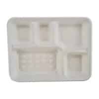 SC-FG052 Sugarcane 5 Compartment Tray 280x220x35mm